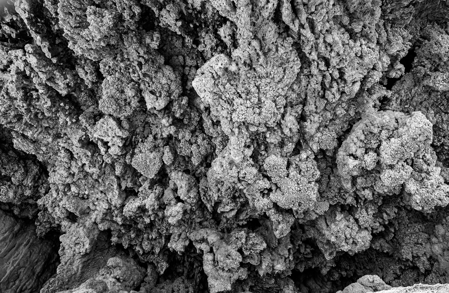 Travertine on the underside of a shelf near Tonto Natural Bridge showing the infinite numbers of internal structures.